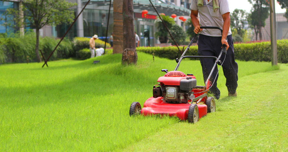 Commercial Grounds Maintenance