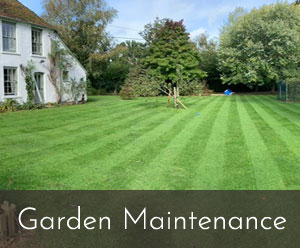 Garden Maintenance