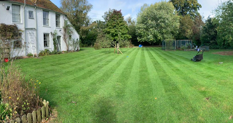 Garden Maintenance Lawn Mowing
