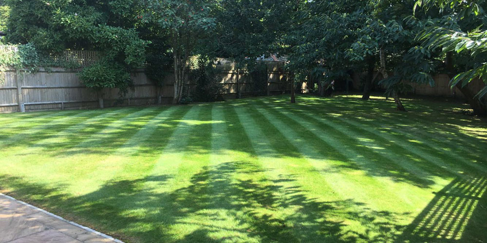 garden-maintenance-8