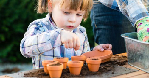 Planting Seeds