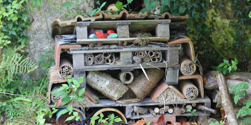 Bug Hotel