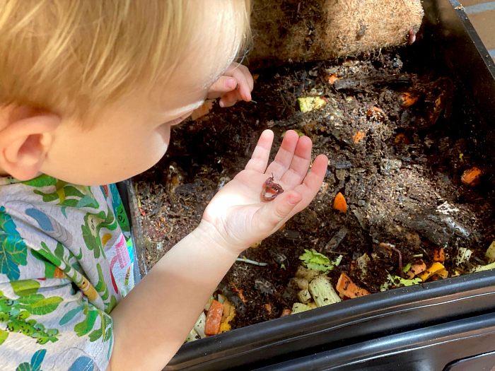 Summer Gardening